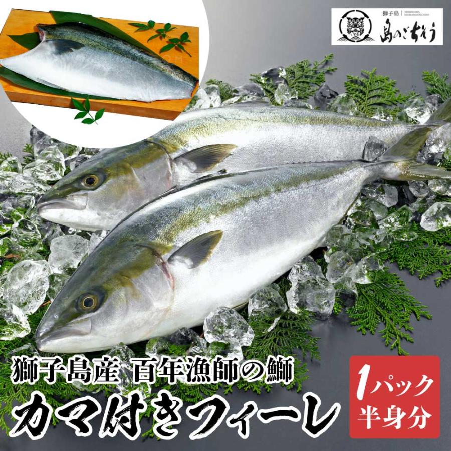 獅子島産 百年漁師の鰤 カマ付きフィーレ 1パック（半身分） 鹿児島県