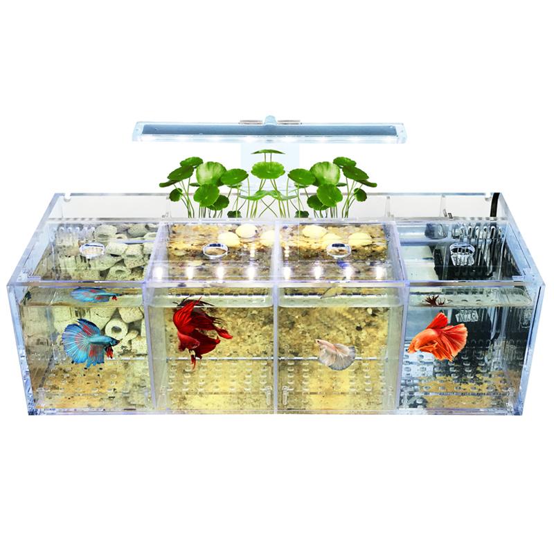 ベタ水槽 グッピー 繁殖隔離ボックス アクリル水槽 透明 小魚 水族館 デスク装飾 特価ブランド