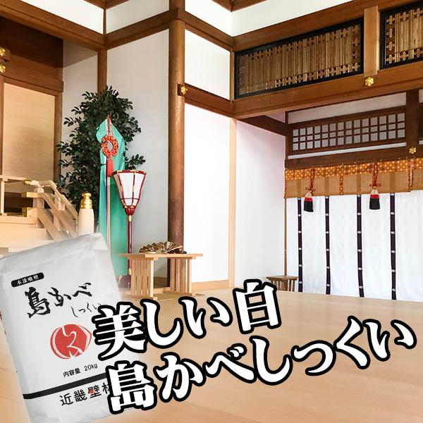 漆喰しっくい約15.5kg ビンテージ、インダストリアル、カフェ、アジアン、和風などに 定番の漆喰 島かべしっくい 20kg 16平米分 送料無料 : 島かべ