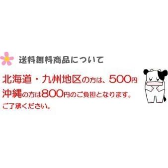 送料無料 伊藤食品 小いか醤油煮 (青) 12缶セット あいこちゃん 缶詰セット 手土産｜shimamotoya｜02