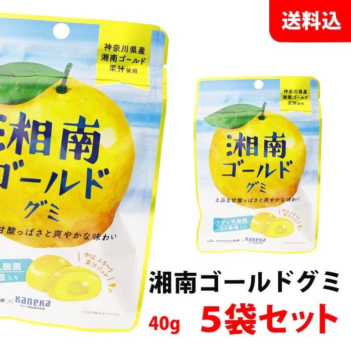 ★ 茱萸(グミ)引取り限定、【訳有り】 ☆ 茱萸(グミ)引取り限定、【訳有り】 楽天市場】【びっくりぐみ】※訳