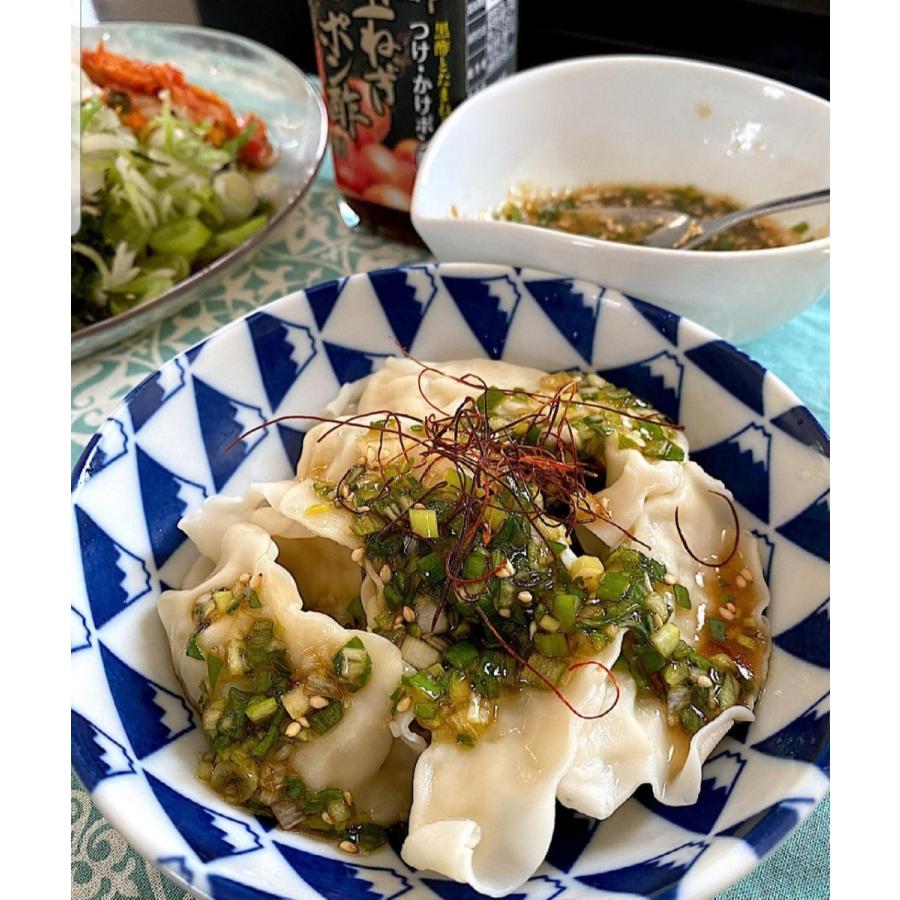 黒酢たまねぎドレッシング&黒酢たまねぎ味ポン酢2本セット 化粧 黒酢たまねぎドレッシング&黒酢たまねぎ味ポン酢2本セット 化粧