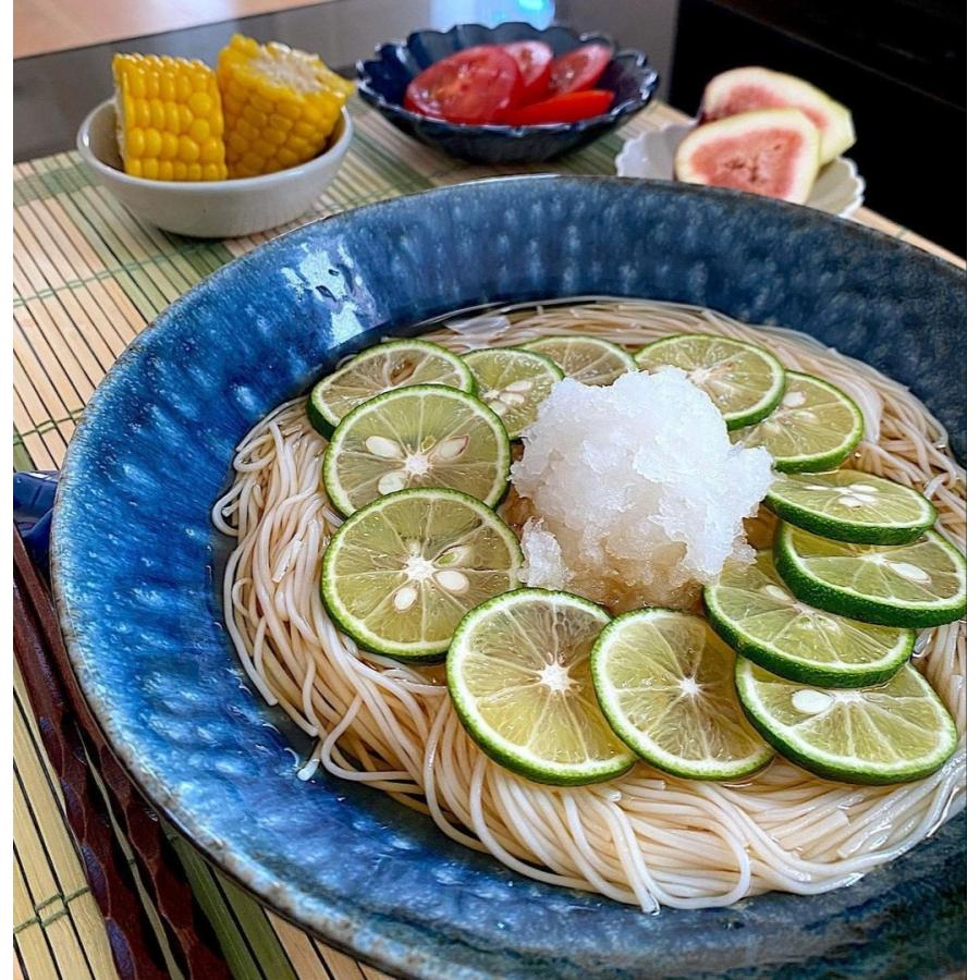 そうめん 天日干し 淡路島産 ひとすじの道 袋5束入り 極細 淡路島
