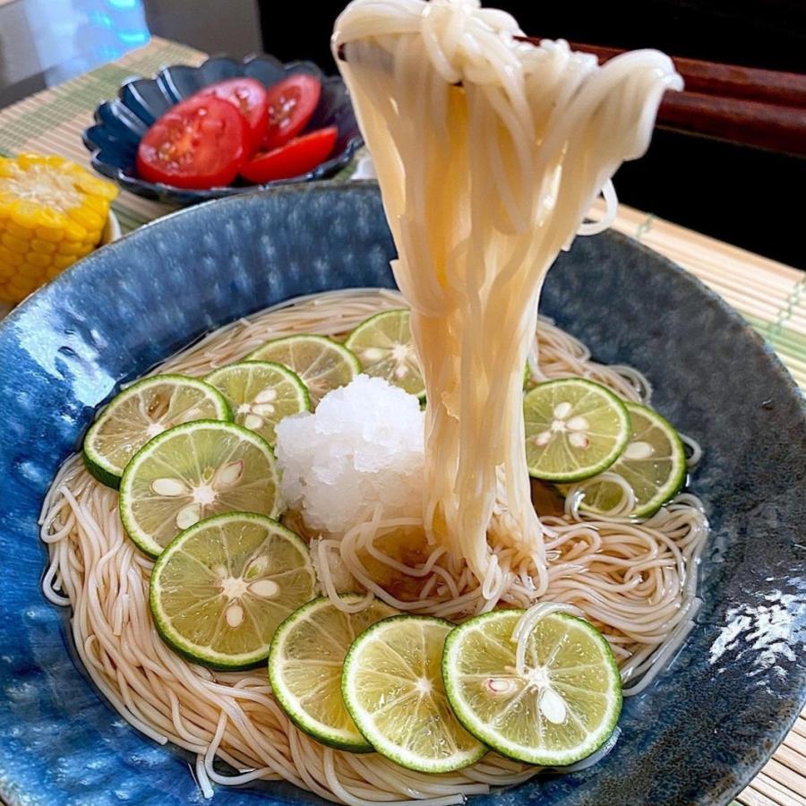 そうめん 天日干し 淡路島産 ひとすじの道 袋5束入り 極細 淡路島