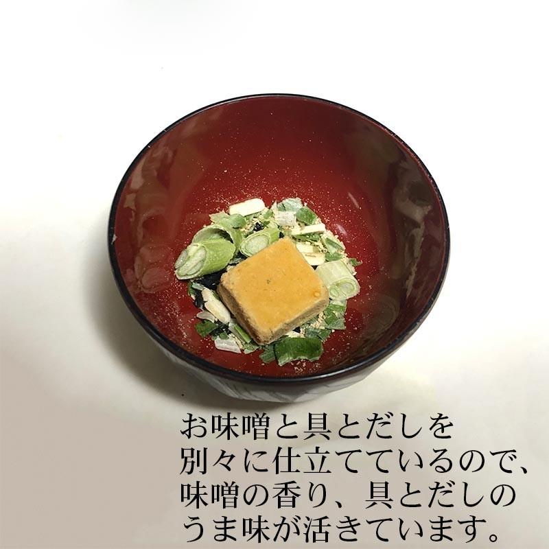 送料無料 フリーズドライ味噌汁 業務用 100食 即席味噌汁 フリーズドライ 味噌汁 インスタント 即納最大半額 Wjelaser Com