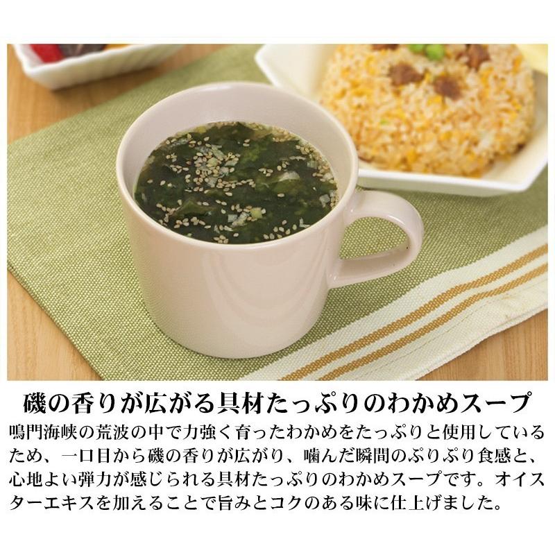 フリーズドライ スープ 10食 (5種類×各2個) お試し セット Nature