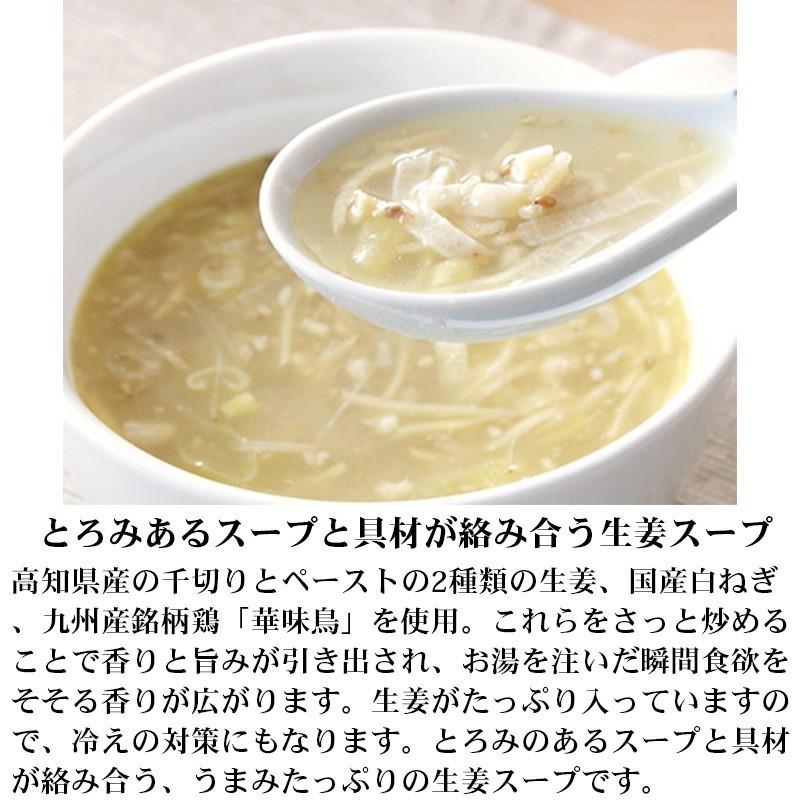 フリーズドライ スープ 5種類 お試し セット Nature Future 非常食