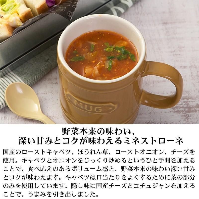 フリーズドライ スープ 5種類 お試し セット Nature Future 非常食
