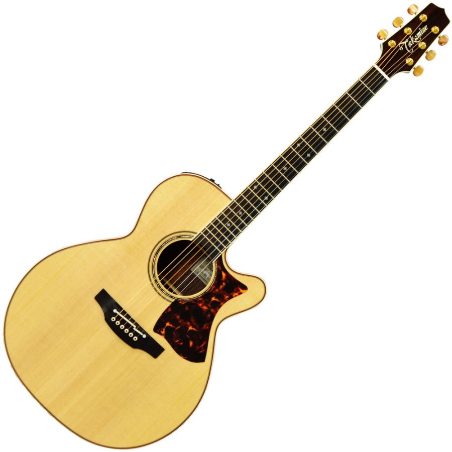 Takamine DMP50S ソフトケース付き 諸々付き Takamine DMP50S ソフトケース付き 諸々付き