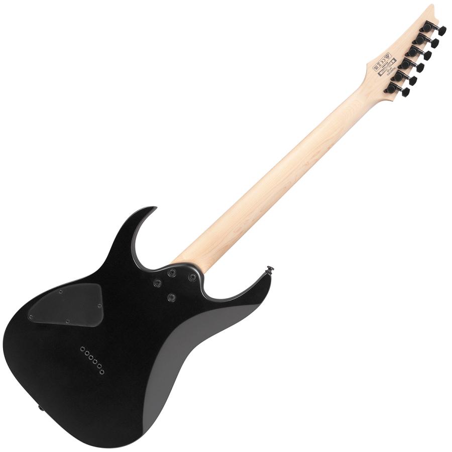 Ibanez アイバニーズ RG421EX BKF (Black Flat) エレキギター ブラックフラット ソフトケース付属 RGシリーズの画像