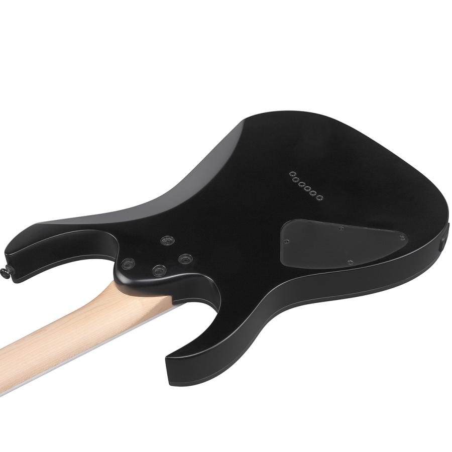 Ibanez アイバニーズ RG421EX BKF (Black Flat) エレキギター ブラックフラット ソフトケース付属 RGシリーズの画像