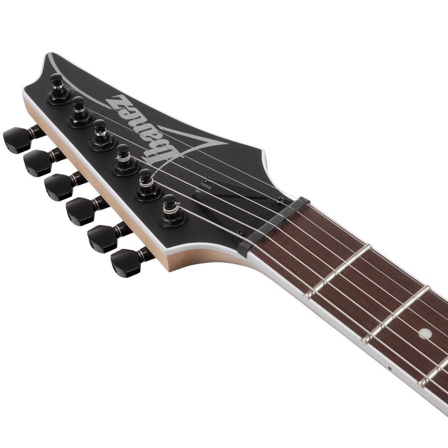 Ibanez アイバニーズ RG421EX BKF (Black Flat) エレキギター ブラックフラット ソフトケース付属 RGシリーズの画像