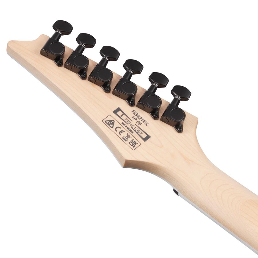 Ibanez アイバニーズ RG421EX BKF (Black Flat) エレキギター ブラックフラット ソフトケース付属 RGシリーズの画像