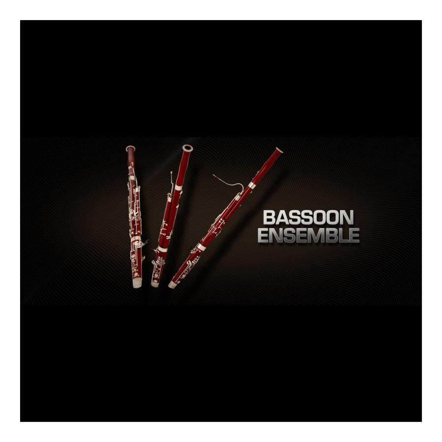 Vienna ビエナ Bassoon Ensemble バスーン音源 ソフトウエア音源 コード販売 Hcogcc Org