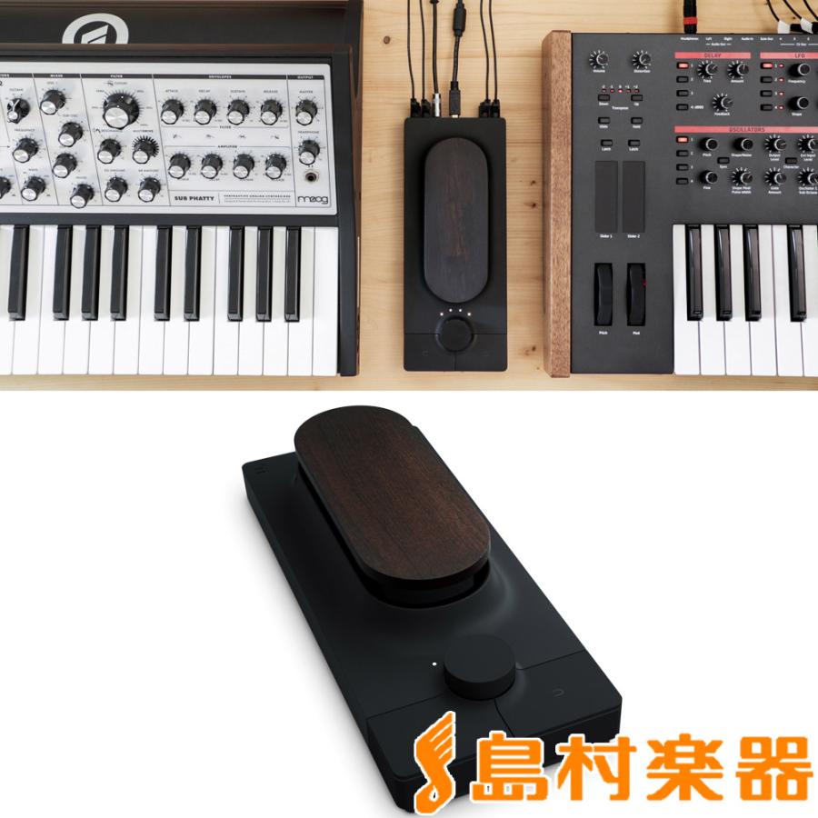 (未使用･未開封品)　Expressive E Touche トゥシェ タッチスタイル・シンセサイザー・コントローラー wyeba8q Amazon | Expressive E Touché/トゥシェ Toucheシリーズ 24.6*10*6.2cm