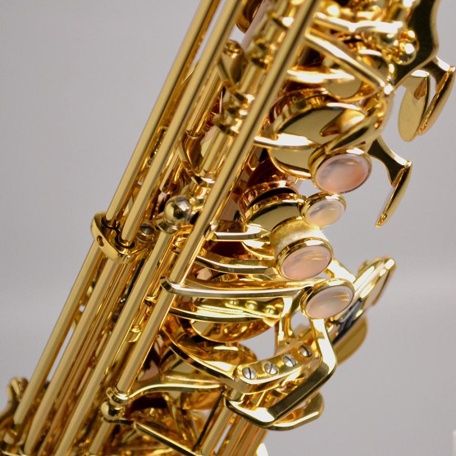 YANAGISAWA ヤナギサワ A-WO20 アルトサックス ブロンズブラス製