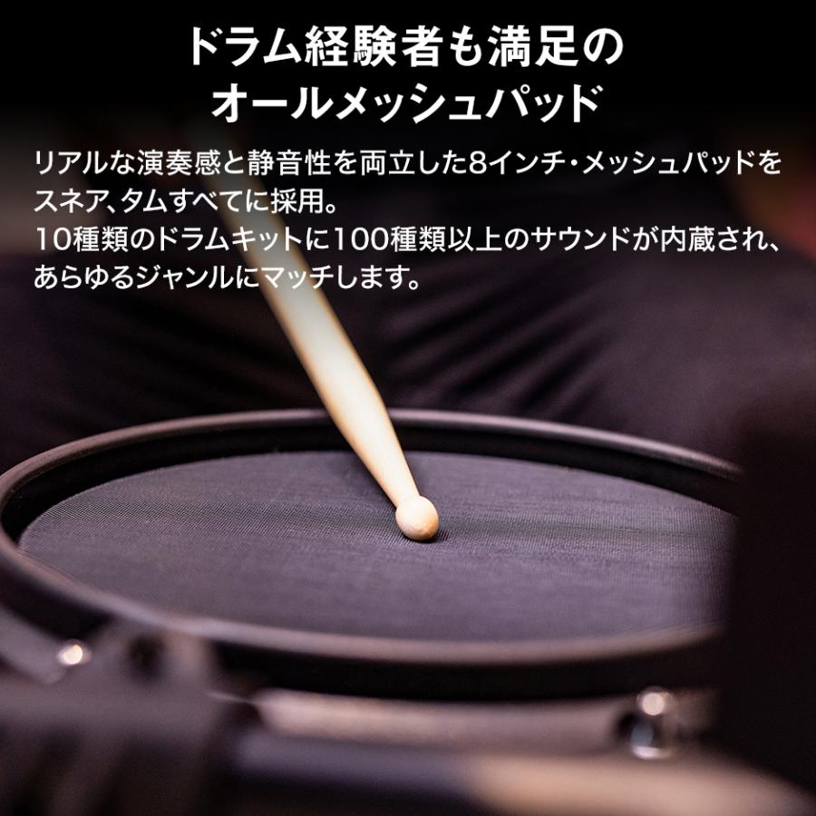 Alesis [在庫限り] ALESIS アレシス Turbo Mesh Kit フルセット 電子 