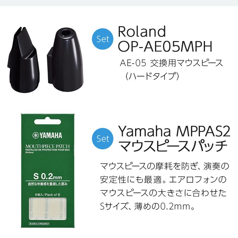 Roland ローランド AE-05 ヘッドホン 公式ガイドブック 交換用マウスピースセット ウインドシンセサイザー エアロフォン_3