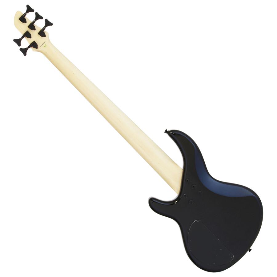 AriaProII アリアプロ2 IGB-STD/5B Metallic Black 5弦エレキベース