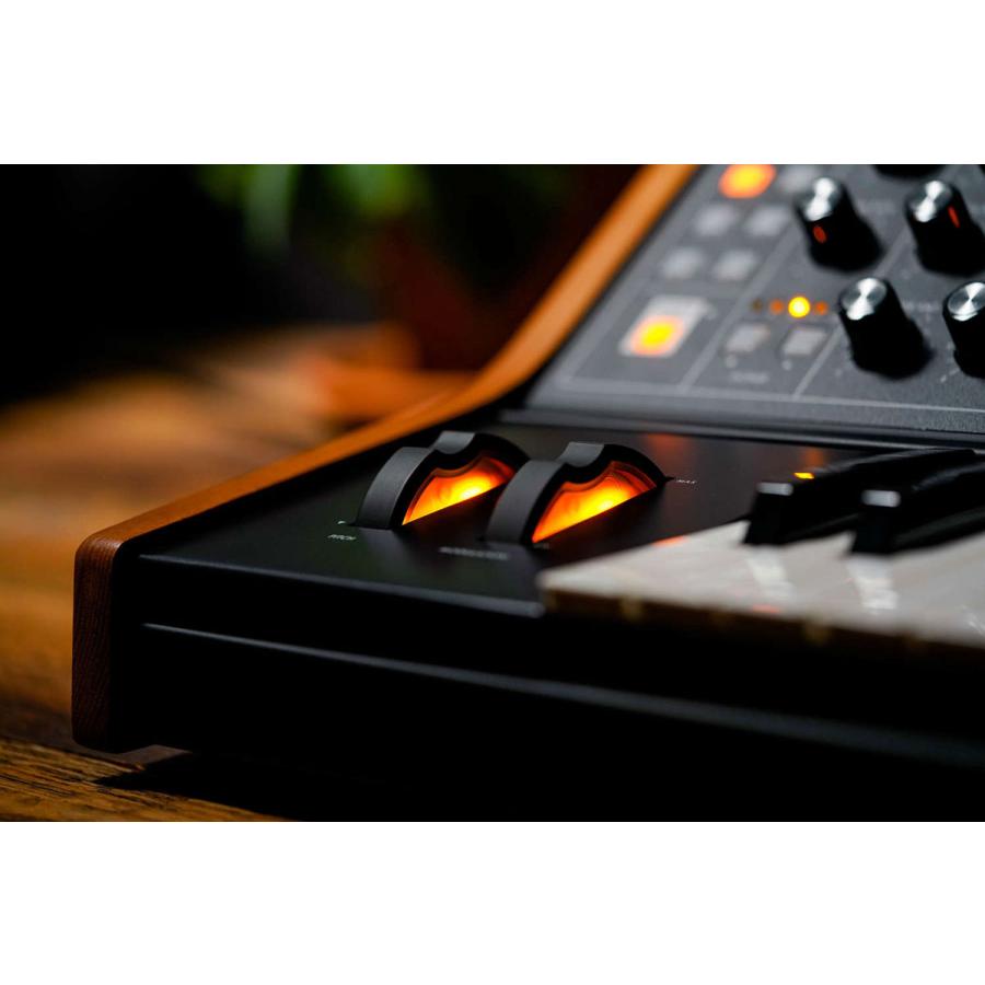 MOOG(シンセサイザー) moog モーグ Subsequent 25 パラ MOOG(シンセサイザー) moog モーグ Subsequent 25 パラ
