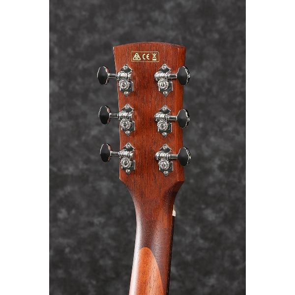 Ibanez（アイバニーズ） PN12MHE OPN (Open Pore Natural) エレアコ 