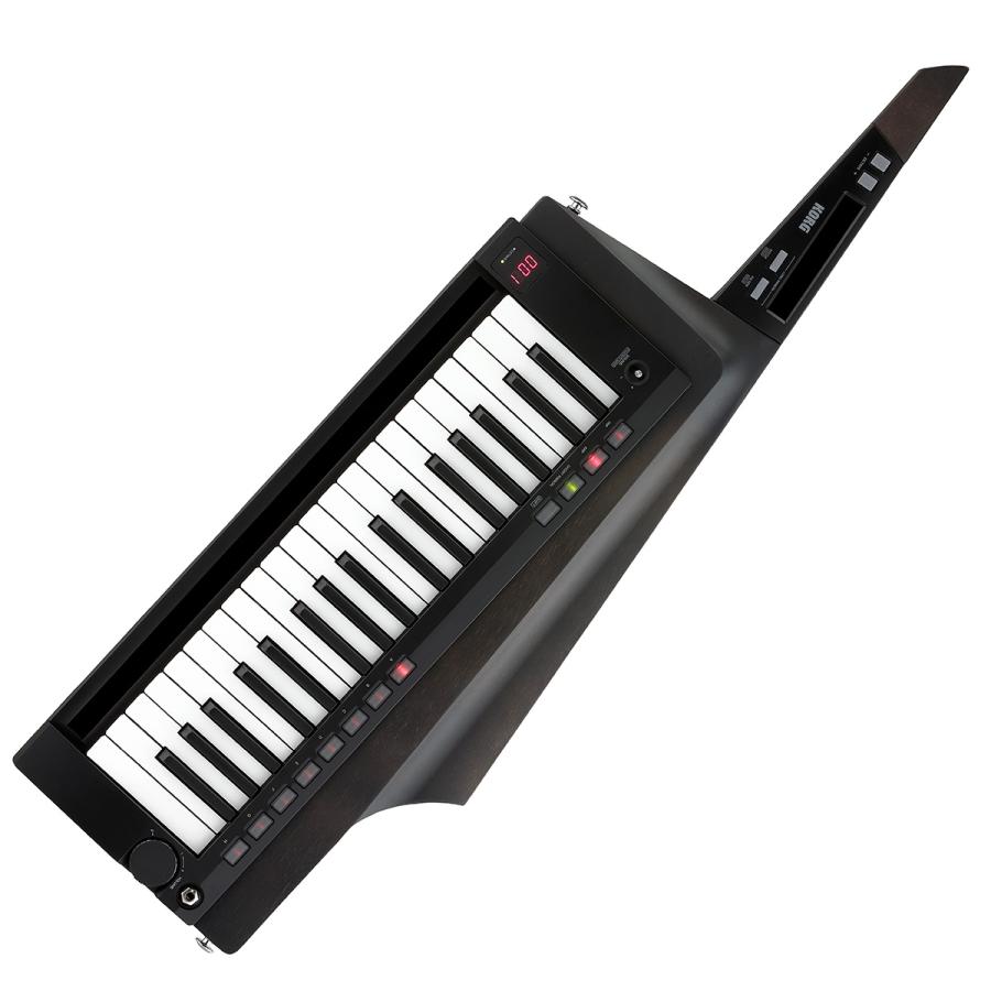 Korg RK-100S BK コルグ　ショルダーキーボード KORG コルグ RK-100S 2 BK ブラック KEYTAR ショルダー