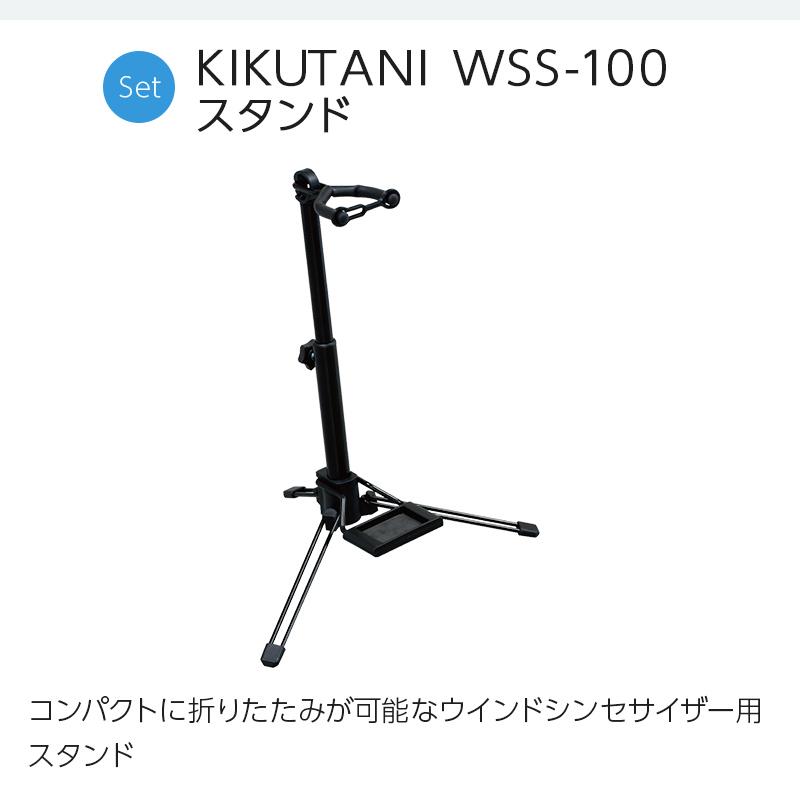 ローランド（Roland） AE-01 ケース ヘッドホン スタンドセット