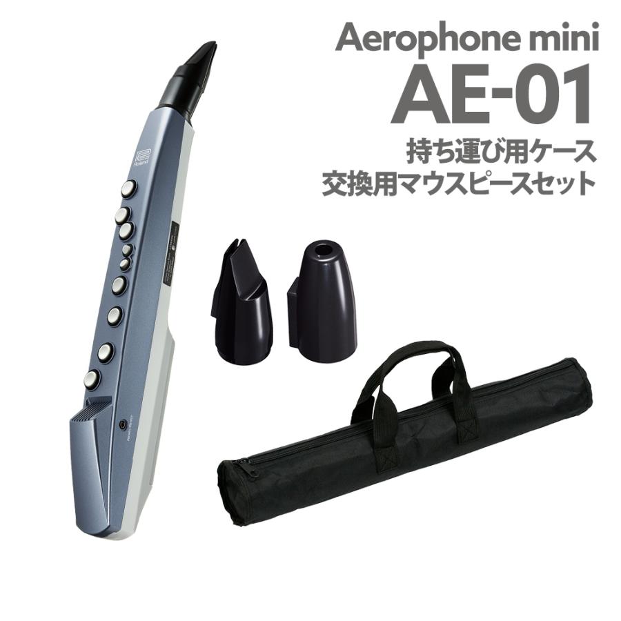 ローランド（Roland） AE-01 ケース 交換用マウスピース セット
