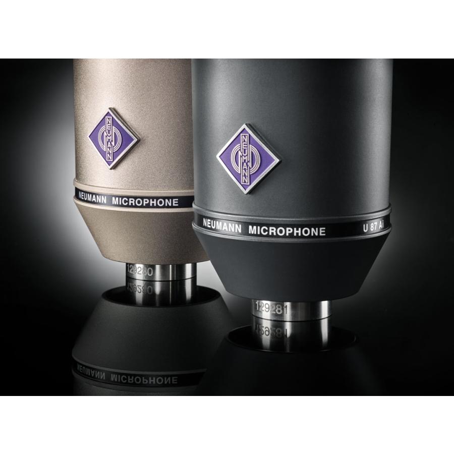 NEUMANN KM184 MT ステレオペア Neumann KM184 Stereo Set - BimotorDJ