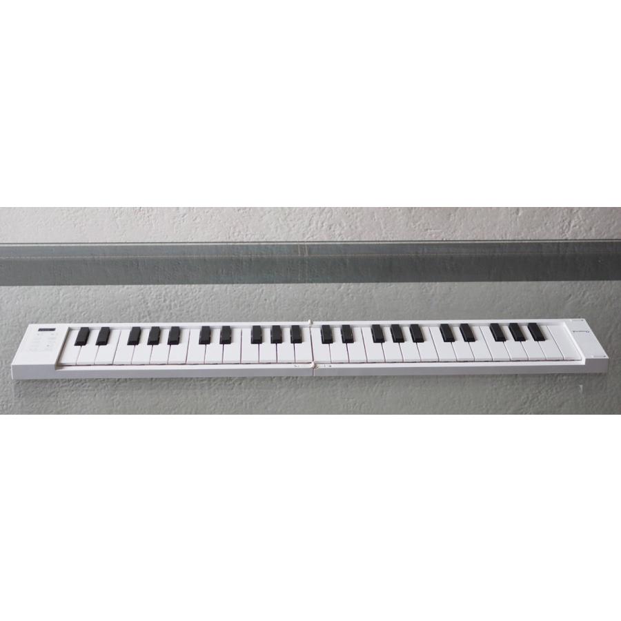 TAHORNG タホーン ORIPIA49 オリピア49 OP49 折りたたみ式 電子ピアノ MIDIキーボード 49鍵盤｜shimamura｜02