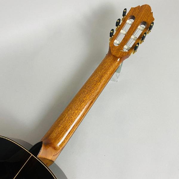 ギター analogramm mt0118812_m.jpg