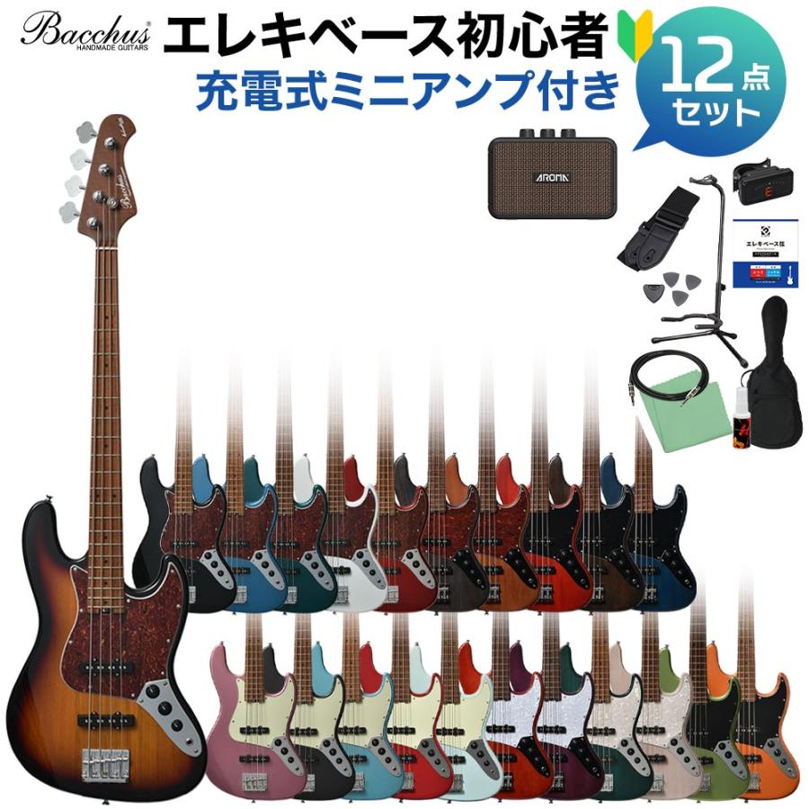 Bacchus バッカス WL4-STD/RSM ベース 初心者12点セット 〔充電 Bacchus バッカス WL4-STD/RSM ベース 初心者12点セット 〔充電