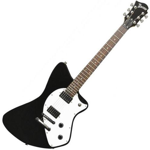 FERNANDES burny H-85S シャチ FERNANDES burny H-85S シャチ burny FERNANDES H-85S シャチ