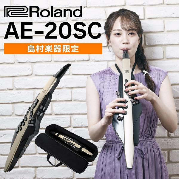 ヘッドホンプレゼント 教則動画付き Roland ローランド AE-20SC 限定カラー エアロフォン ウインドシンセサイザー AE20SC