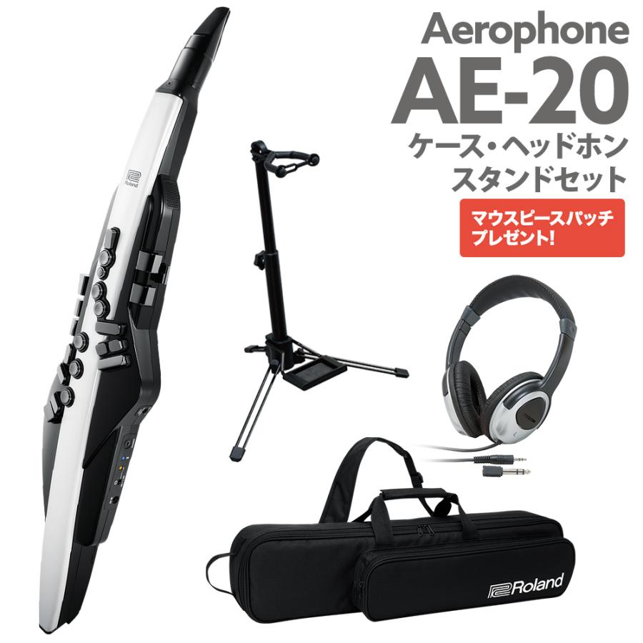 ローランド（Roland） AE-20 ケース ヘッドホン 専用スタンドセット