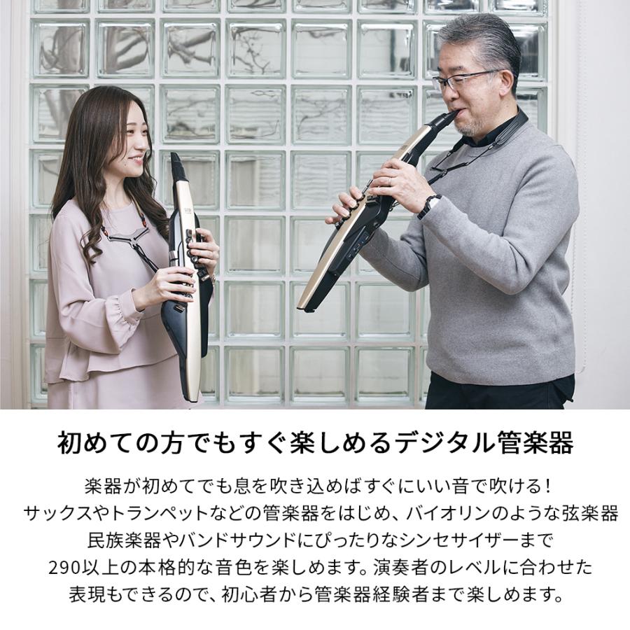 ローランド（Roland） AE-20 ケース ヘッドホン 専用スタンドセット