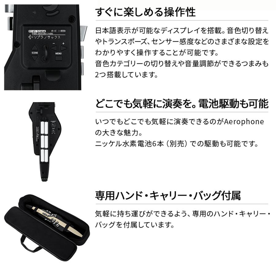 Roland AE-20 エアロフォン 電子楽器 ケースACアダプター説明書　付 ローランド（Roland） AE-20 ケース ヘッドホン 専用スタンドセット