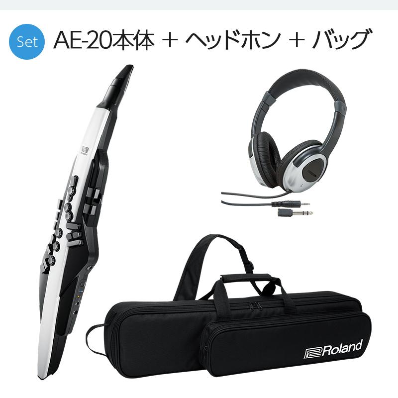 ローランド（Roland） AE-20 ケース ヘッドホン 専用スタンドセット