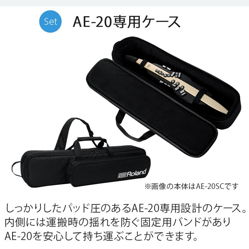 ローランド Roland AE-20 ケース ヘッドホン 専用スタンドセット 