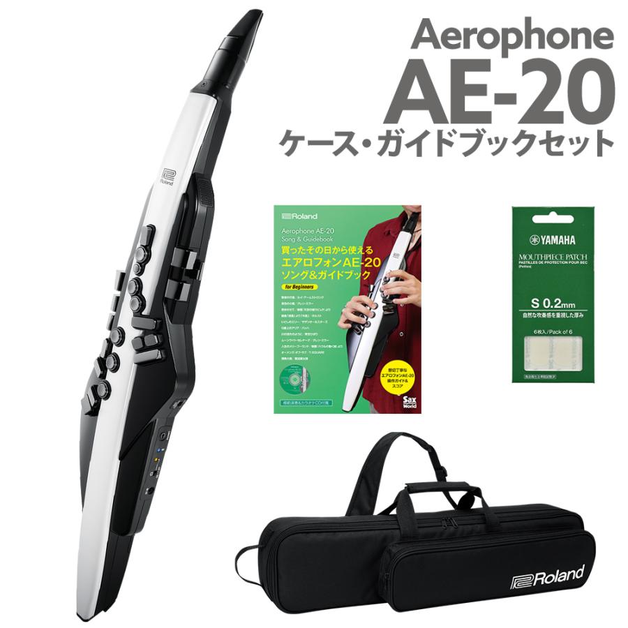 Roland AE-20 エアロフォン 電子楽器 ケースACアダプター説明書　付 Roland AE-20 エアロフォン ウインドシンセサイザー ローランド