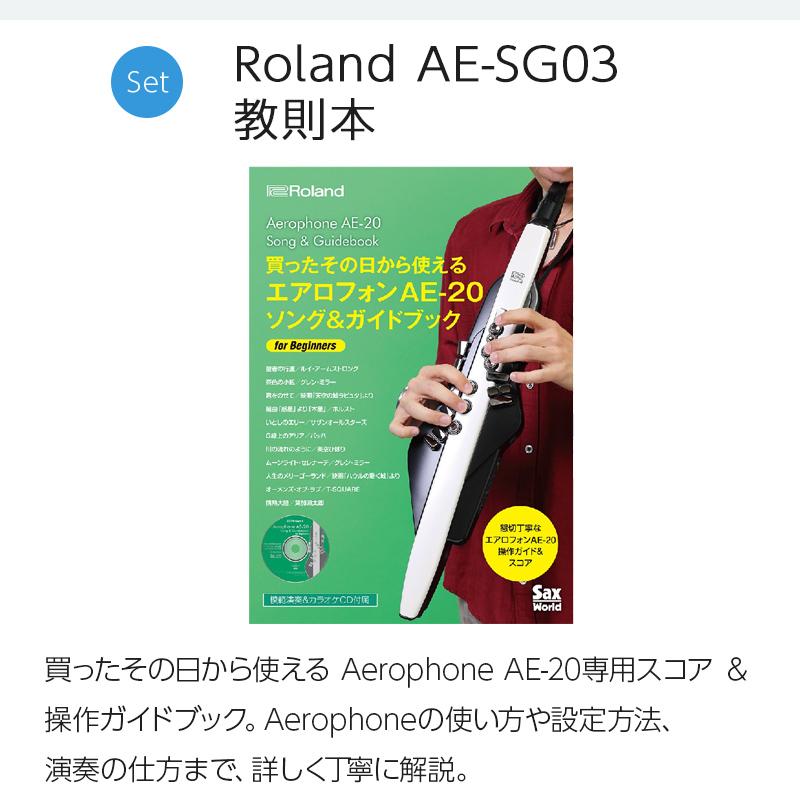 Roland ローランド AE-20 ケース ヘッドホン 交換用マウススピース ガイドブック エアロフォン｜shimamura｜08