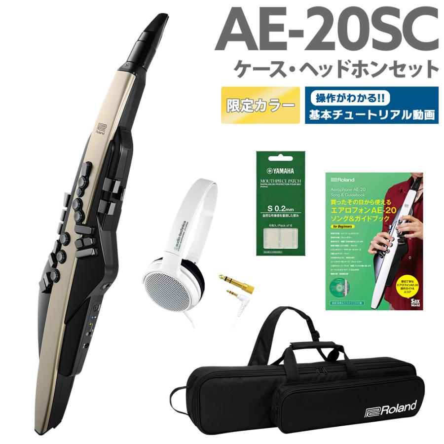 ローランド [教則動画付き] Roland AE-20SC ケース ヘッドホン ガイド 
