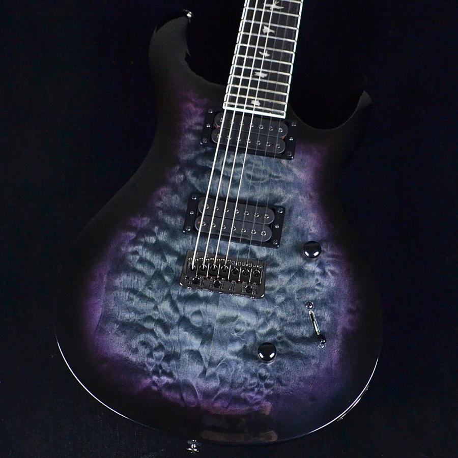 Paul Reed Smith（ポールリードスミス） PRS SE Mark Holcomb SVN