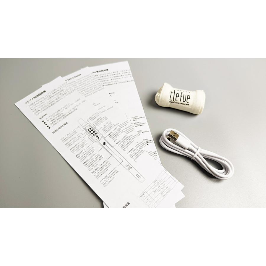 TAHORNG タホーン Elefue エレフエ 電子リコーダー スピーカー内蔵