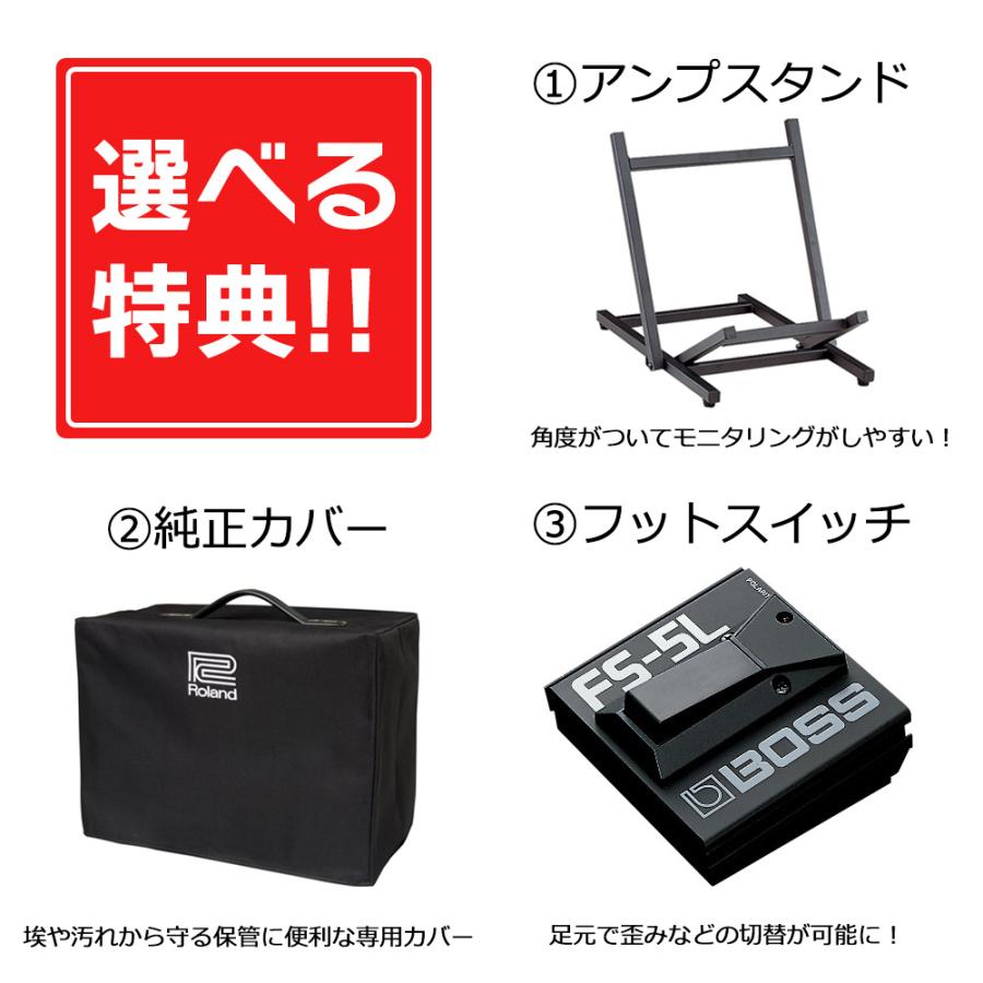 ローランド（Roland） 〔選べる特典付〕 JC-40 選べる特典セット