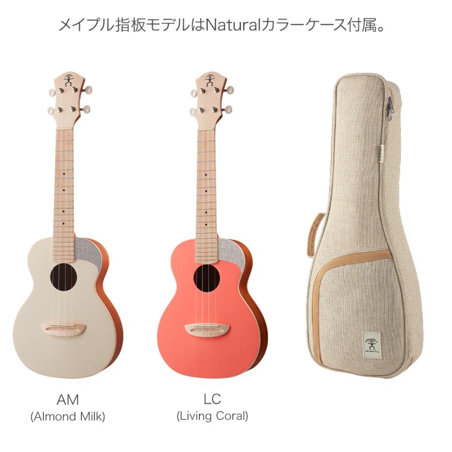 aNueNue aNN-UC10-E 初心者セット スタンド付き入門8点セット aNueNue aNN-UC10-E 初心者セット スタンド付き入門8点セット