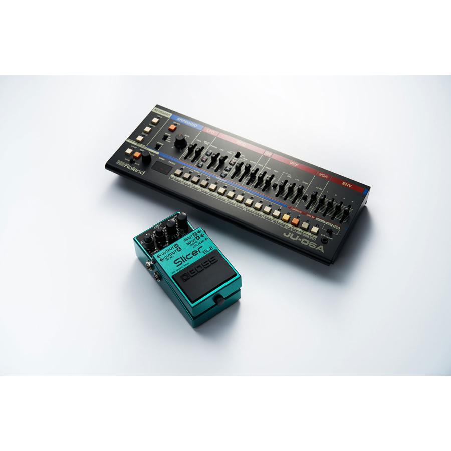 BOSS（ボス） SL-2 スライサー コンパクトエフェクター SL2 : 島村楽器