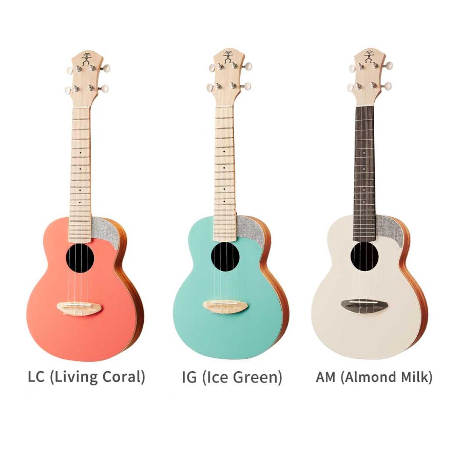 aNueNue アヌエヌエ UC10 コンサートウクレレ Pantone パントン Color