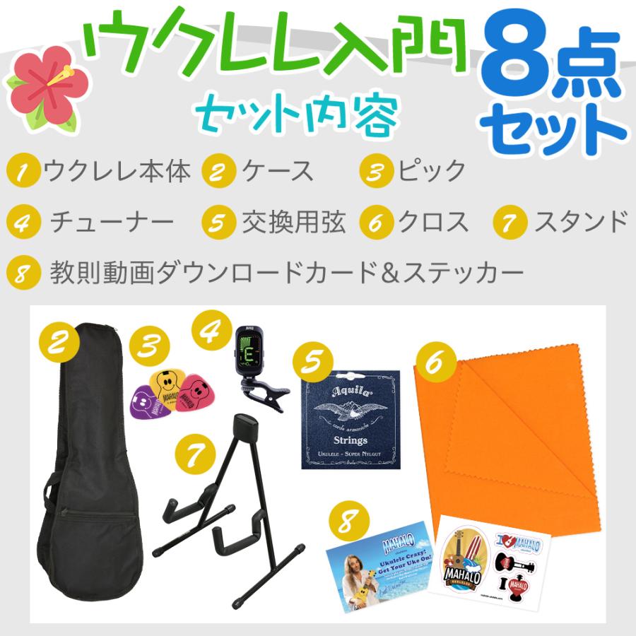 aNueNue アヌエヌエ UC10 ウクレレ初心者セット スタンド付き