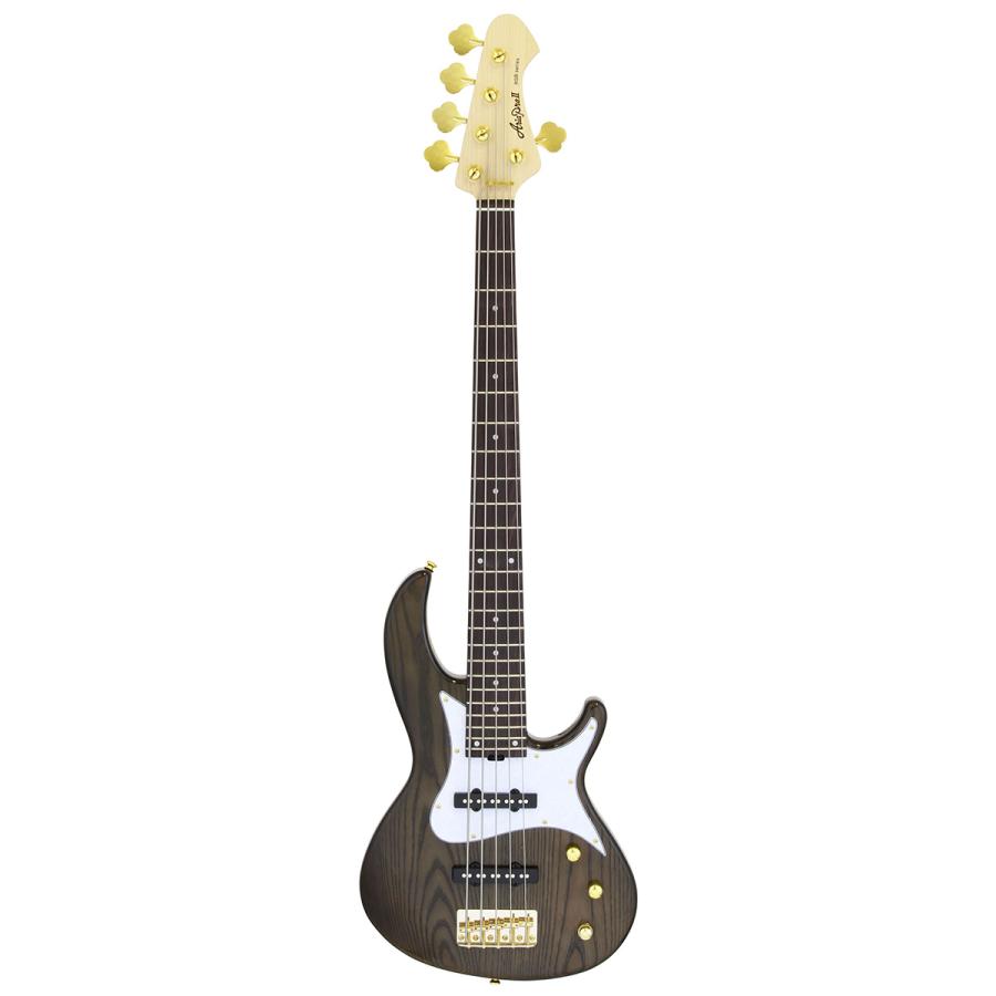 AriaProII アリアプロ2 RSB-42AR/5 SBK 5弦ベース初心者12点セット